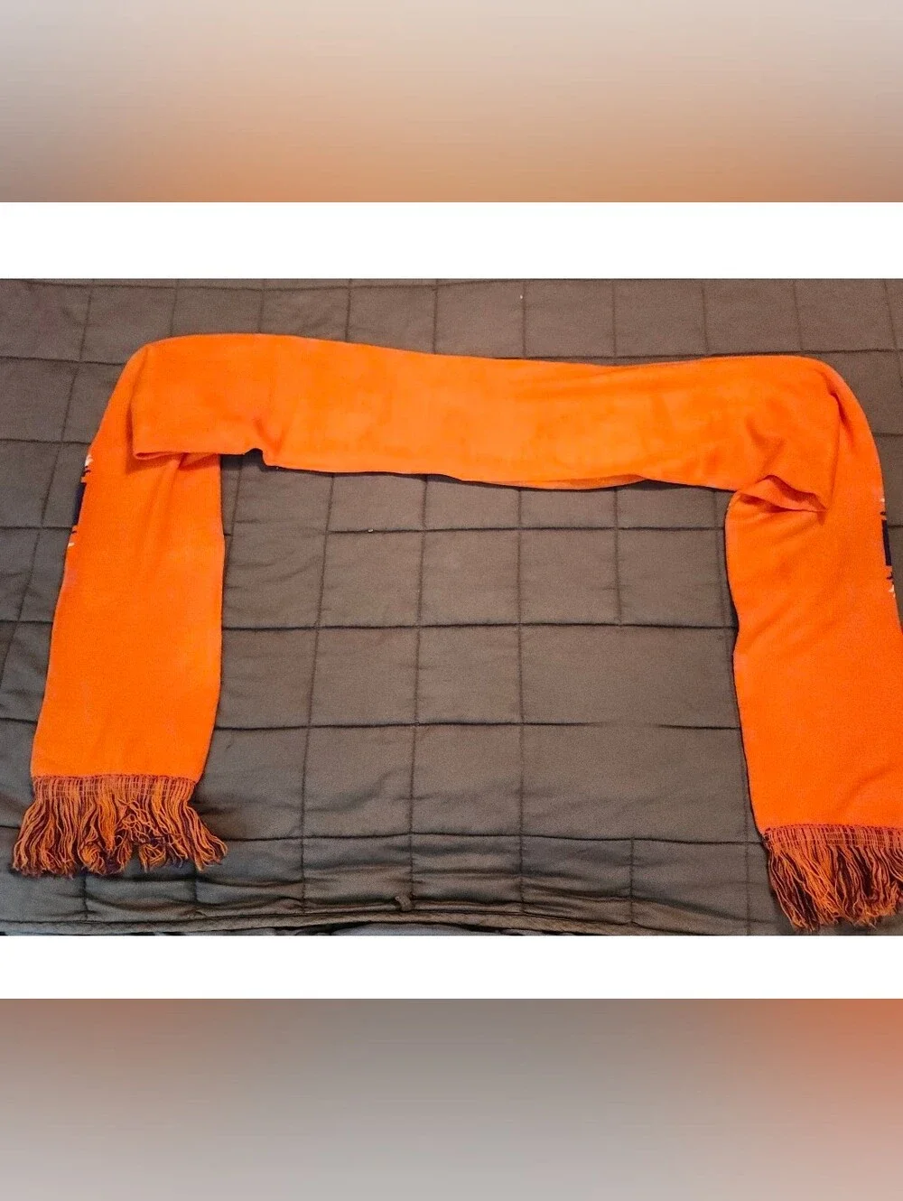 Top of the World CLEMSON UNIVERSITY TIGERS Orange/White Purple Logo Knit Scarf